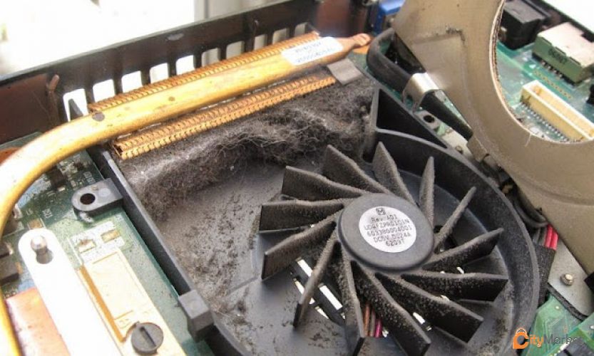 Service Image
